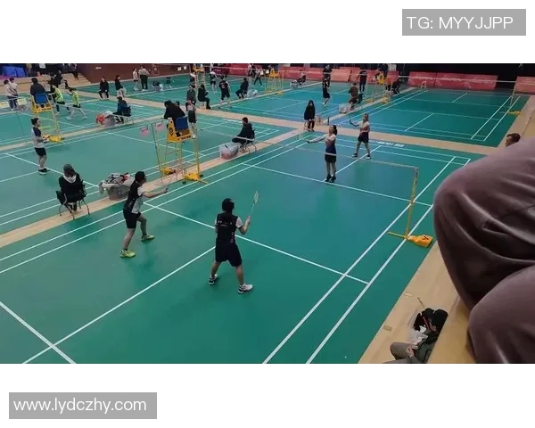 南京羽毛球队实力深度解析与其他队伍的对比分析